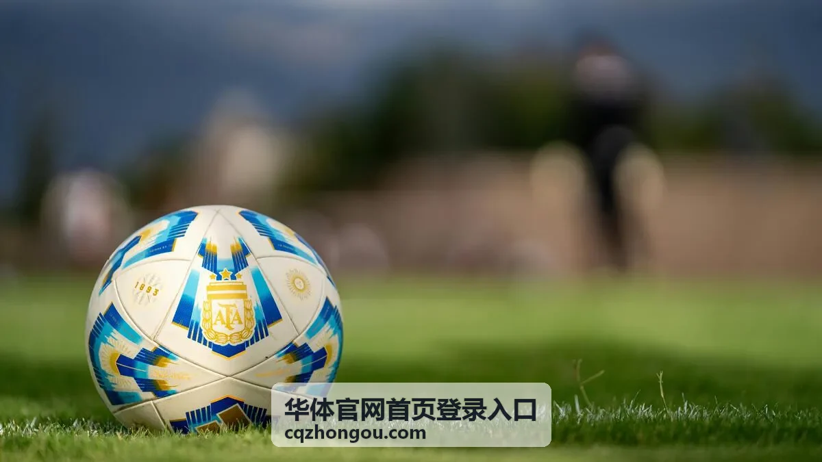 华体官网首页登录入口页面上的登录区域示意
