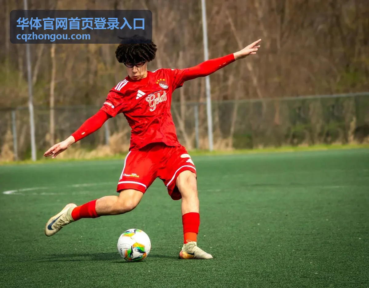 在华体官网首页登录入口填写账号信息与验证码的操作界面